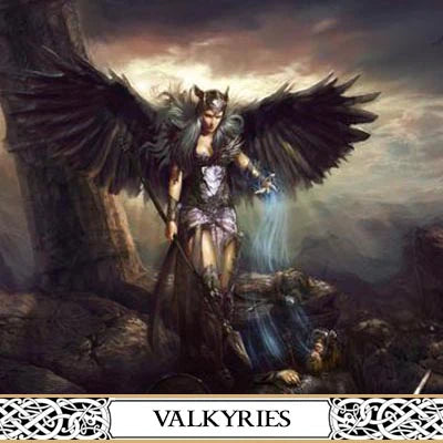 The Valkyries | The surprising story of the Viking warriors! 