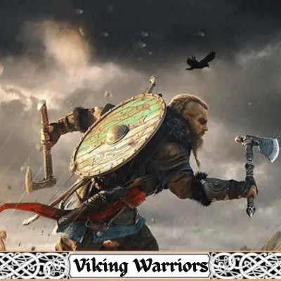 Viking warriors - Viking Heritage Store